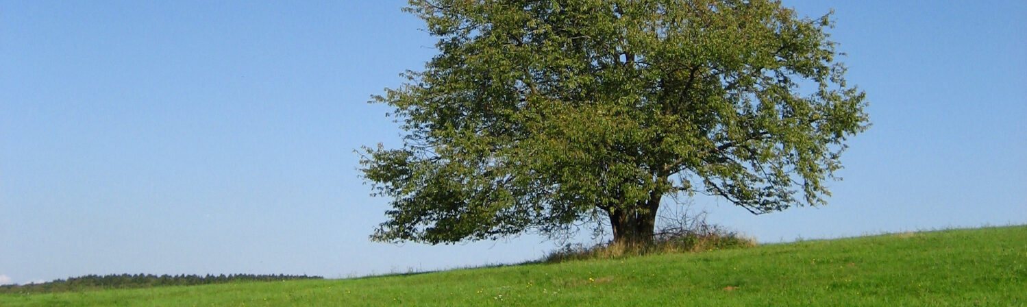 Der Meischda - original und unverfälscht